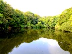 Lake in Summer Lake in Summer